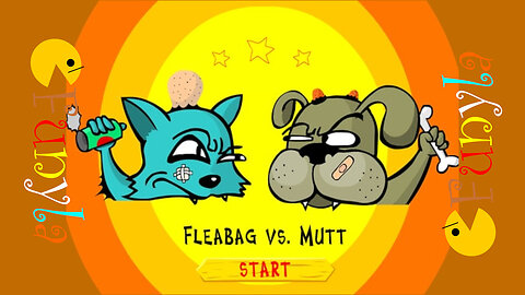Funny Animal