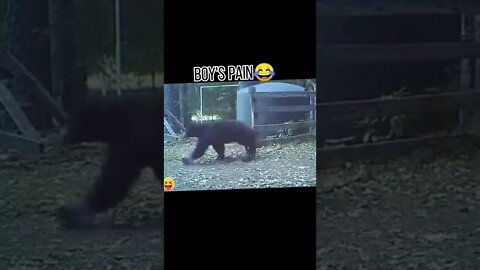 Funny 🤣 videos for entertainment(1)