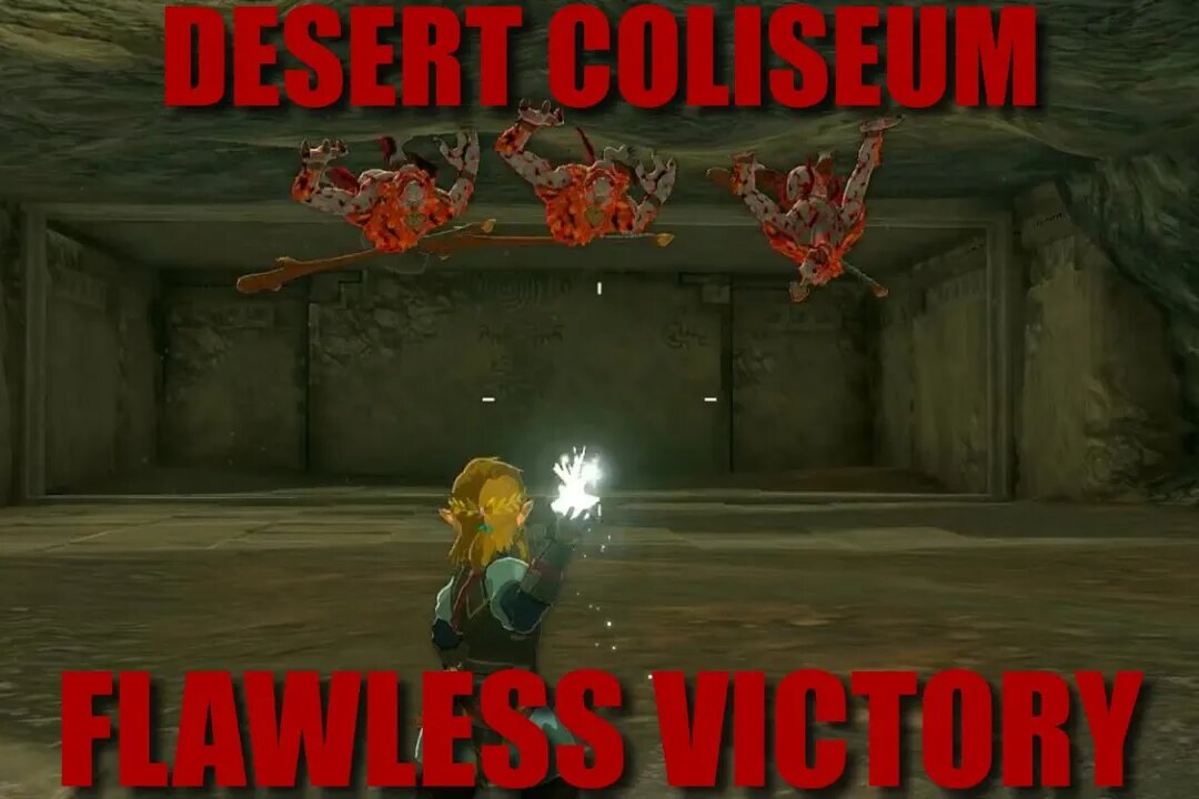 DESERT COLISEUM : ZELDA TEARS OF THE KINGDOM