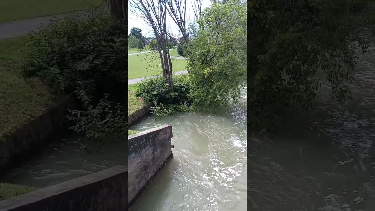 Lacute River Almost Overflowing (Facing West Toward The Falls)