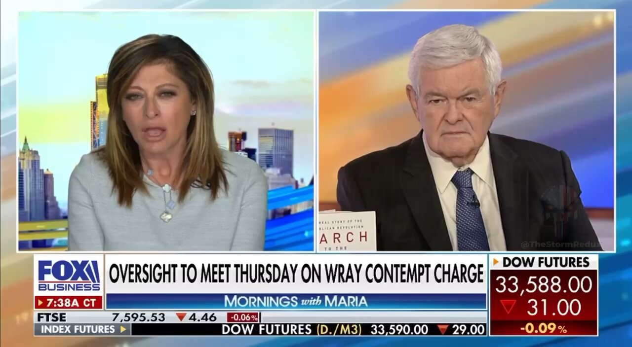 Newt telling it like it is