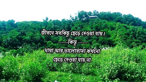 জীবনে সবকিছু ছেড়ে দেওয়া যায় কিন্তু মায়া আর ভালোবাসা কখনো ছেড়ে দেওয়া যায় না