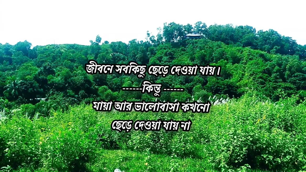 জীবনে সবকিছু ছেড়ে দেওয়া যায় কিন্তু মায়া আর ভালোবাসা কখনো ছেড়ে দেওয়া যায় না