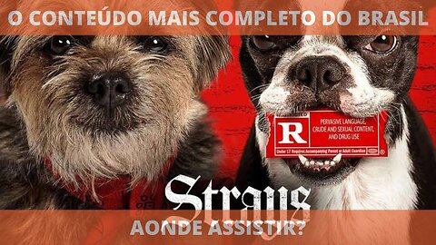 Aonde assistir o filme RUIM PRA CACHORRO