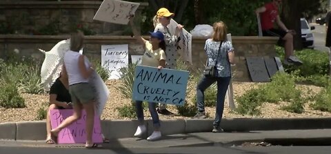 Spanish Trail residents protest geese killing