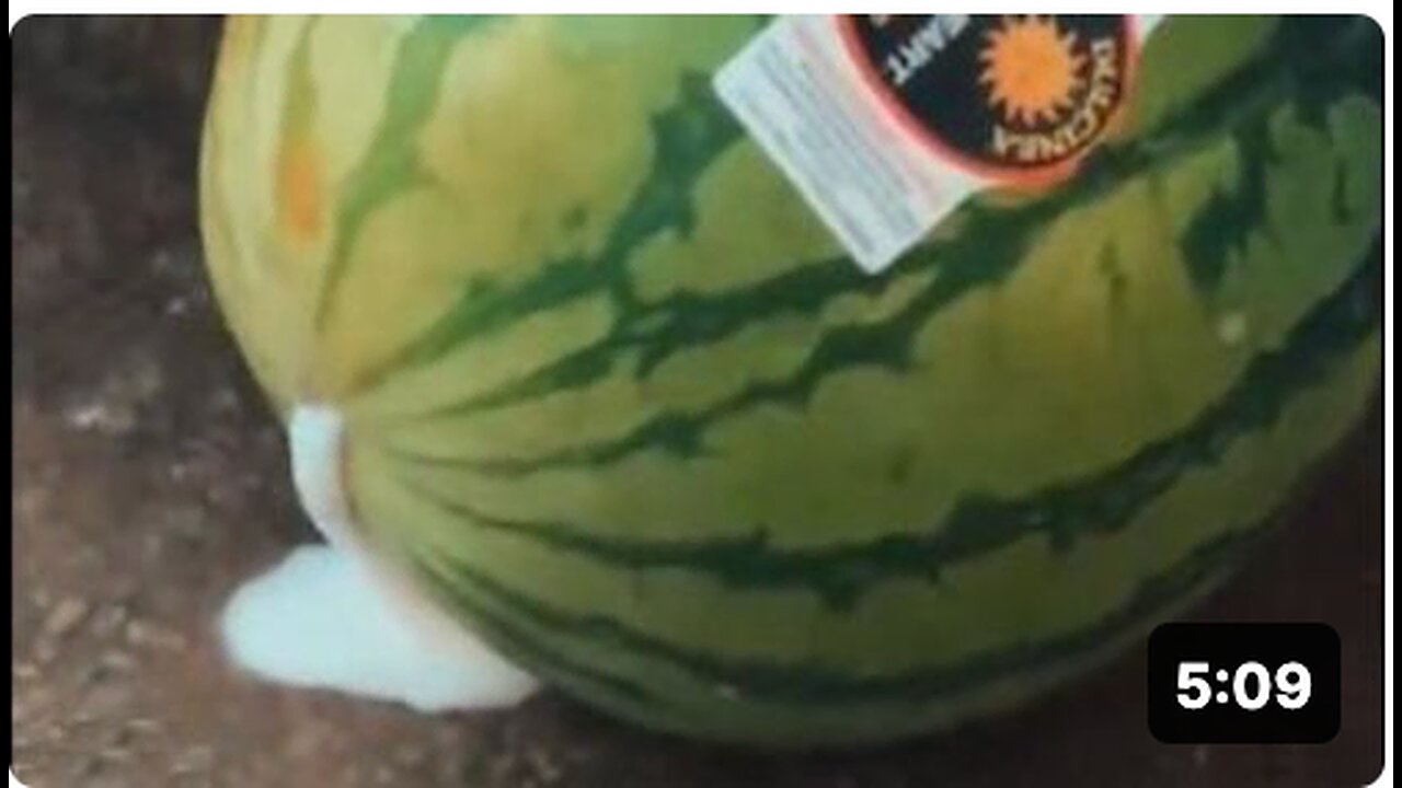 What the hell is going on with Watermelons this year🍉😳😳