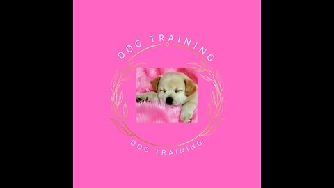 Dog Training