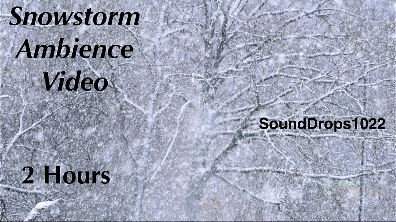 2-Hour Snowy Dreamland: Nature Sounds