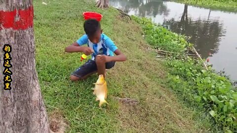 The little boy went fishing by the river and brought home big carp to improve his food +12