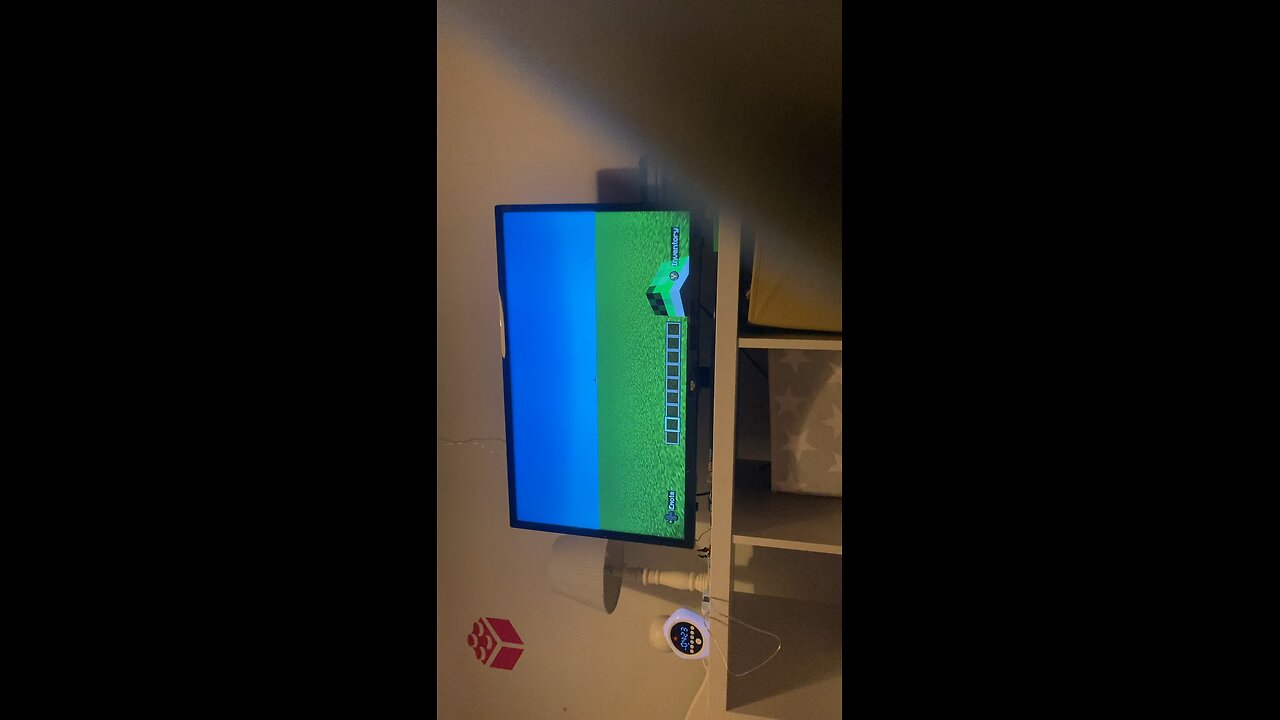 Minecraft vid