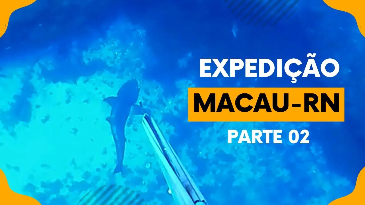 🎣 Expedição Macau RN - Pesca Sub em Apneia - Parte 02 🌊🐟 #pescasub #pescasubmarina #spearfishing