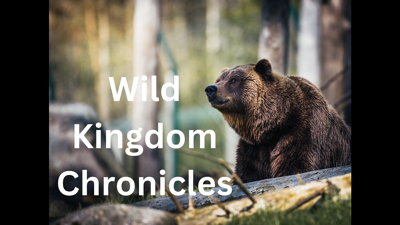 "Wild Kingdom Chronicles: Revelations from Nature's Pristine Realms #wildlife #animalslife #viral