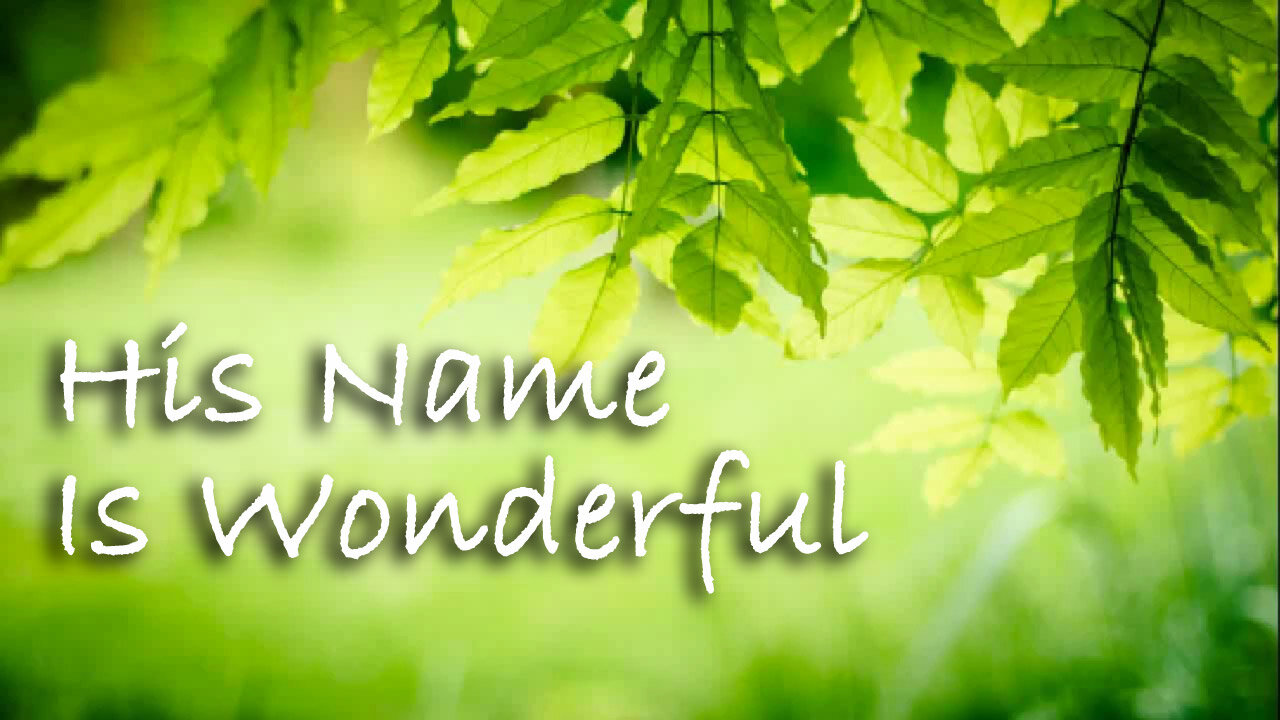 His Name Is Wonderful -- Instrumental Hymn