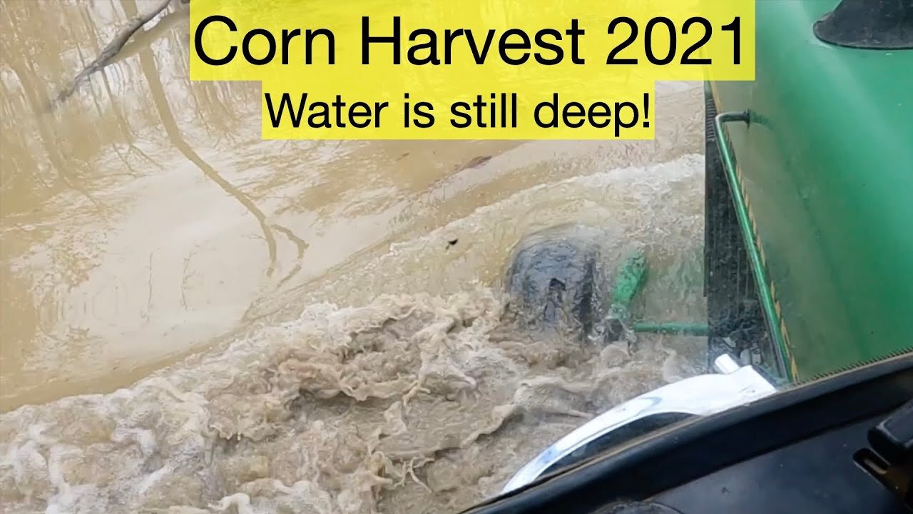 Corn Harvest 2021 Water is still Deep!