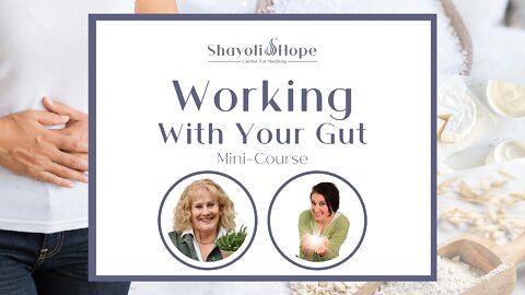 Working With Your Gut || Lesson 1