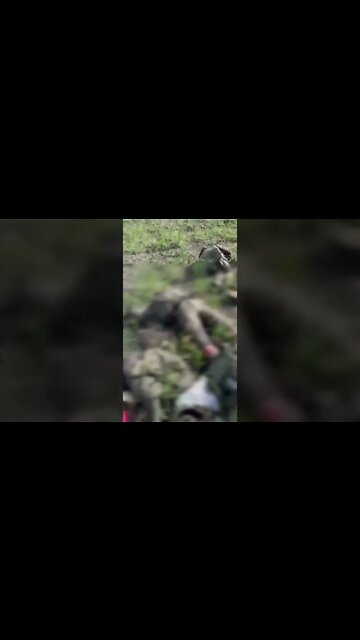 Breaking News (War-Related) #shorts