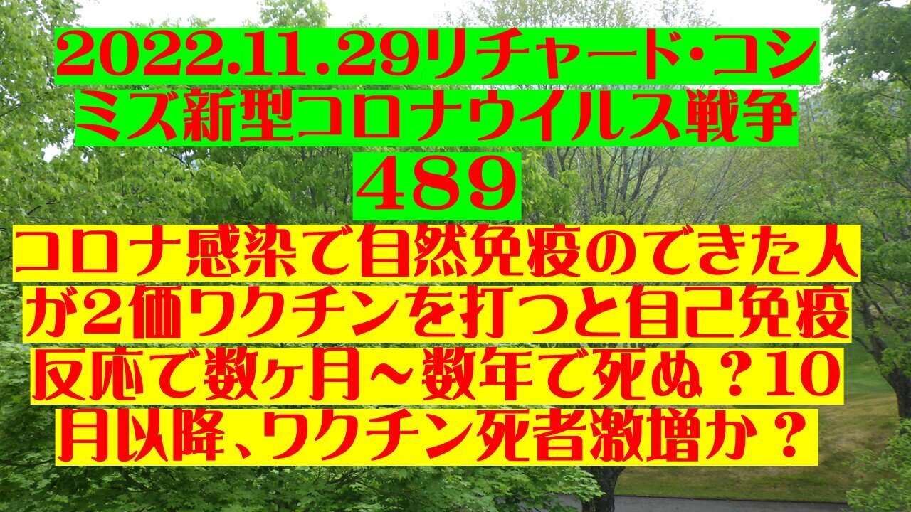 2022.11.29 リチャード・コシミズ新型コロナウイルス戦争４８９