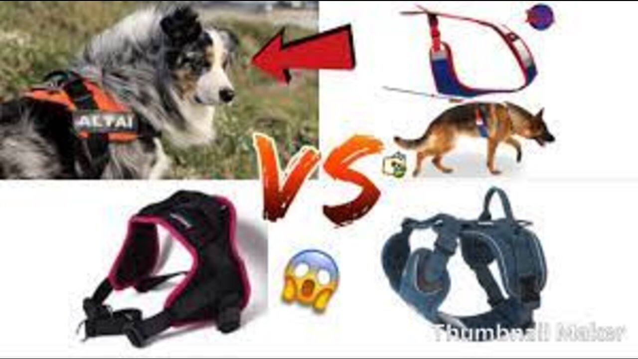 QUEL HARNAIS CHOISIR POUR MON CHIEN ?