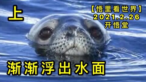 KWT1179(上)渐渐浮出水面20210226-2【悟里看世界】