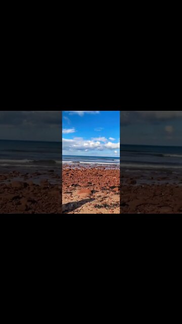 The sound of the ocean