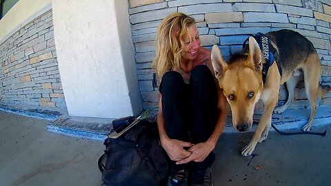 Meet Allison & Chase
