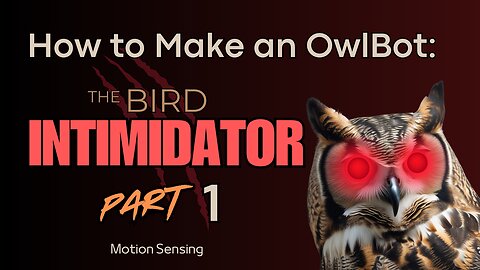 How to Make an OwlBot: The Bird Intimidator - Part 1: Motion Sensing