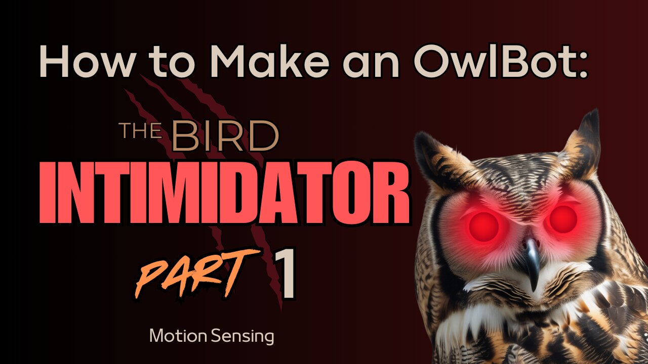 How to Make an OwlBot: The Bird Intimidator - Part 1: Motion Sensing