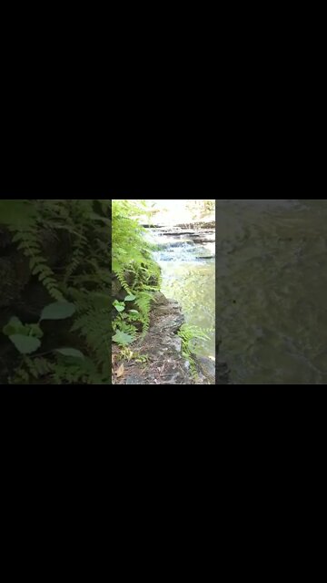ASMR | Nature Sounds | Water