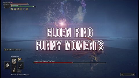 Elden Ring Shenanigans