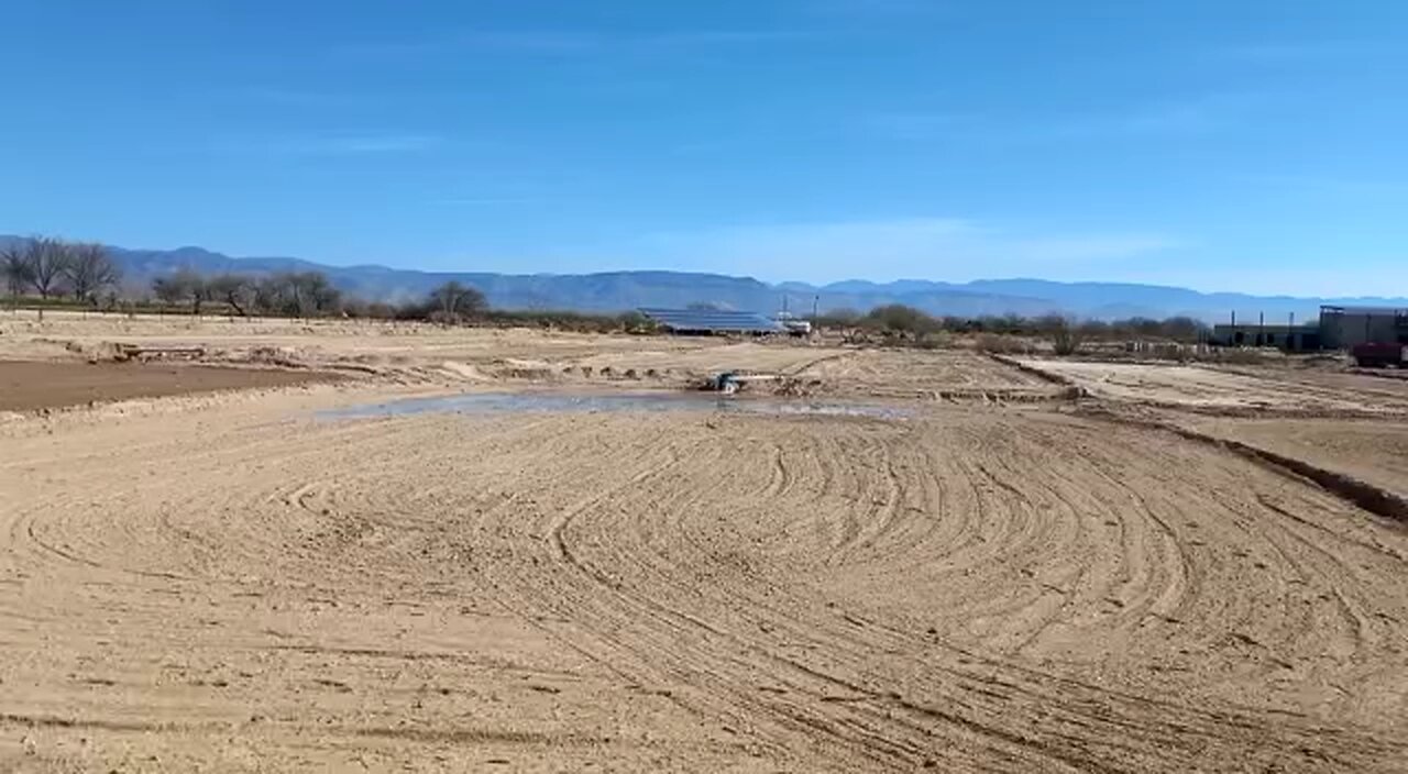 Regando las tablas preparando la alfalfa