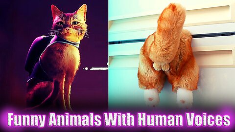 Incredibly Funny Animals With Human Voices