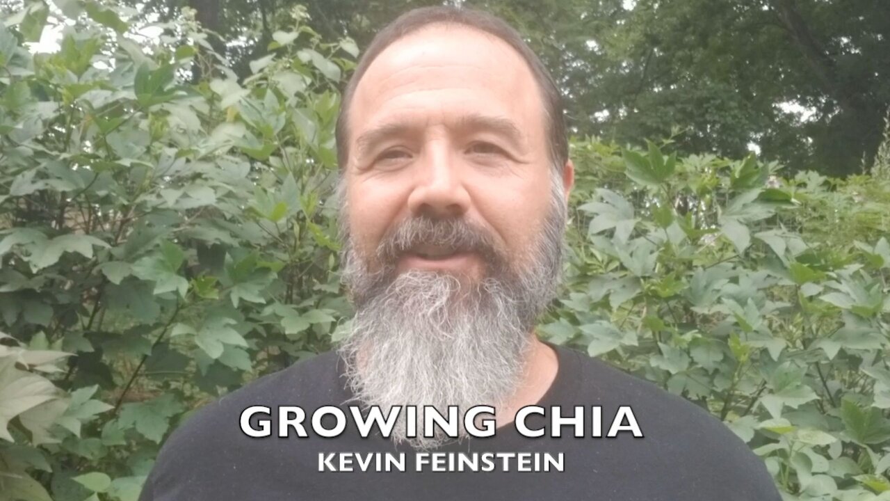 Growing Chia