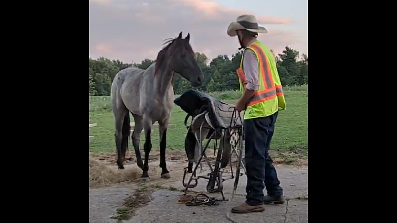 Ashur - first ride assessment - 17 Aug 2023