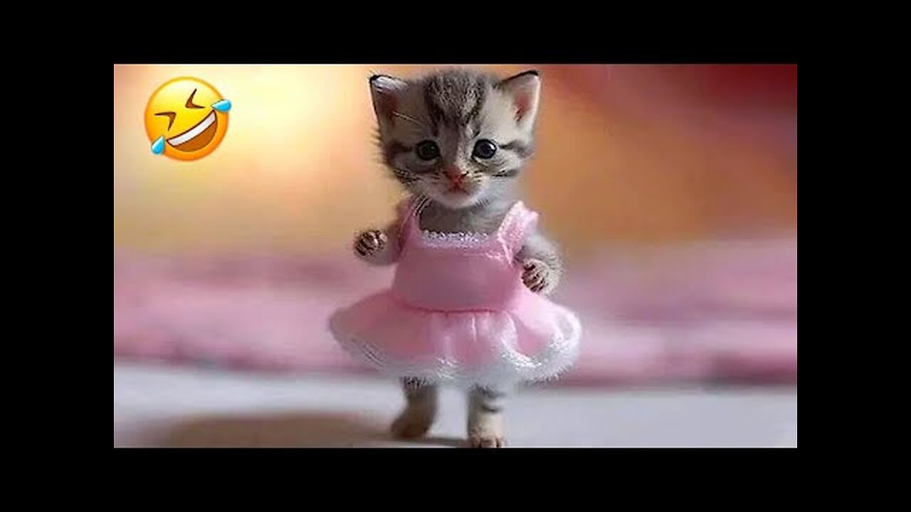 New Funny Animals 2023 ππ Funniest Cats and Dogs Videos πΆπ»