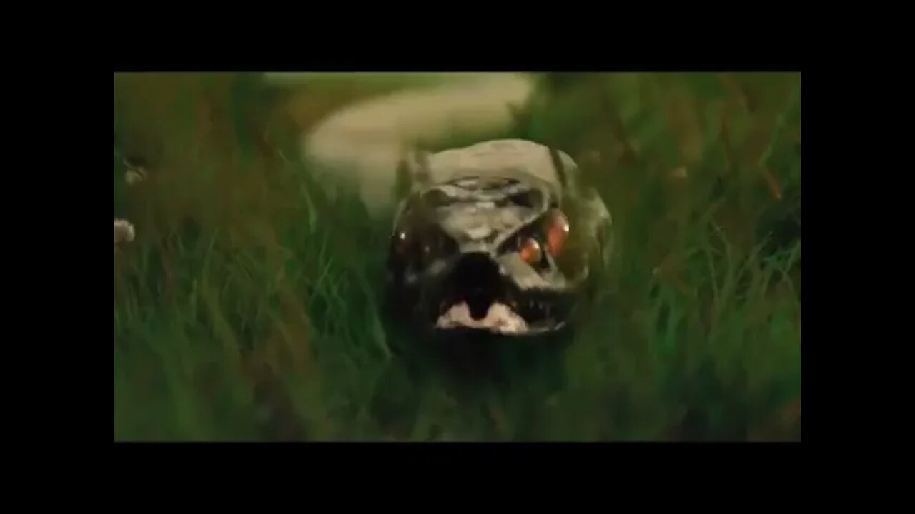 Skull & Bones!! NEVER BEFORE SEEN REVELATION!! It's OVER for Them - Jonathan Kleck