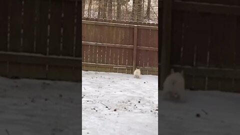 #SHORT #SUBSCRIBE #PLEASE