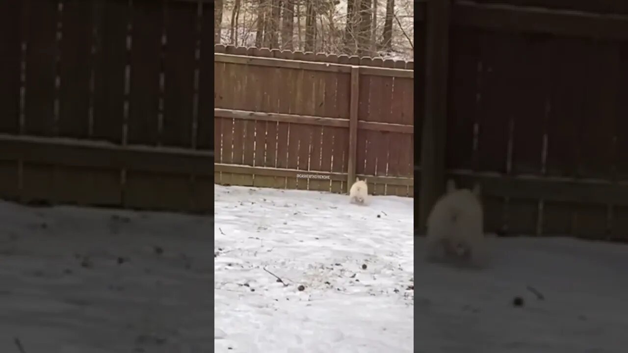 #SHORT #SUBSCRIBE #PLEASE