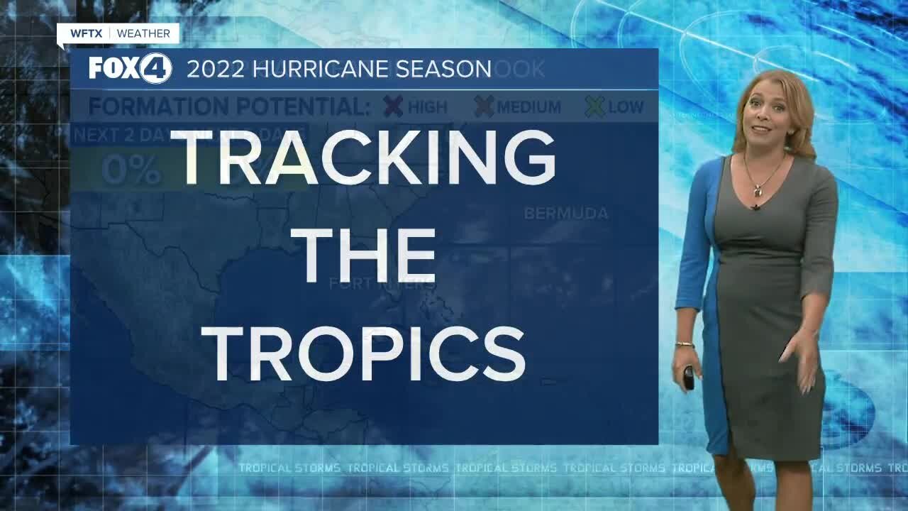 Tropical Update