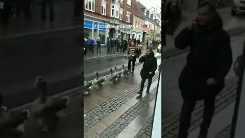 Meanwhile in Denmark.. 😅