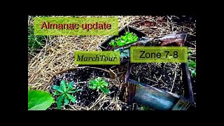 Almanac Gardening: March Garden Tour: What I Learned in March.