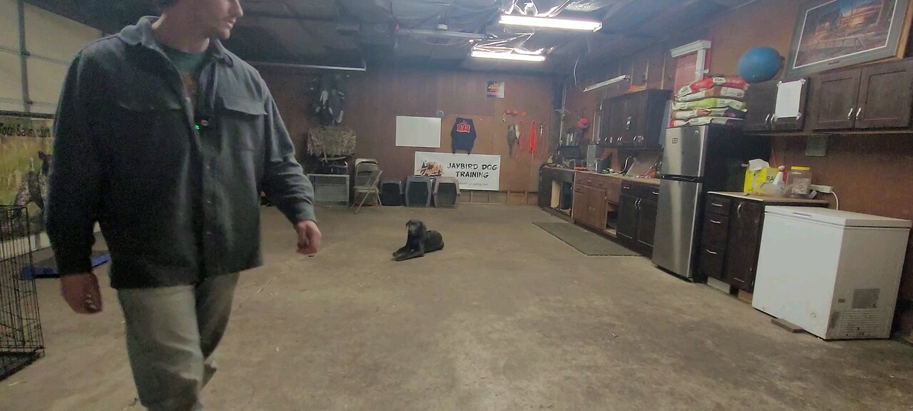 learning he has to sit