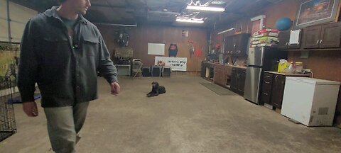 learning he has to sit