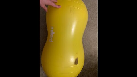 Milliard Peanut Ball Physio Roll for Exercise, Therapy, Labor, Birthing and Dog Training