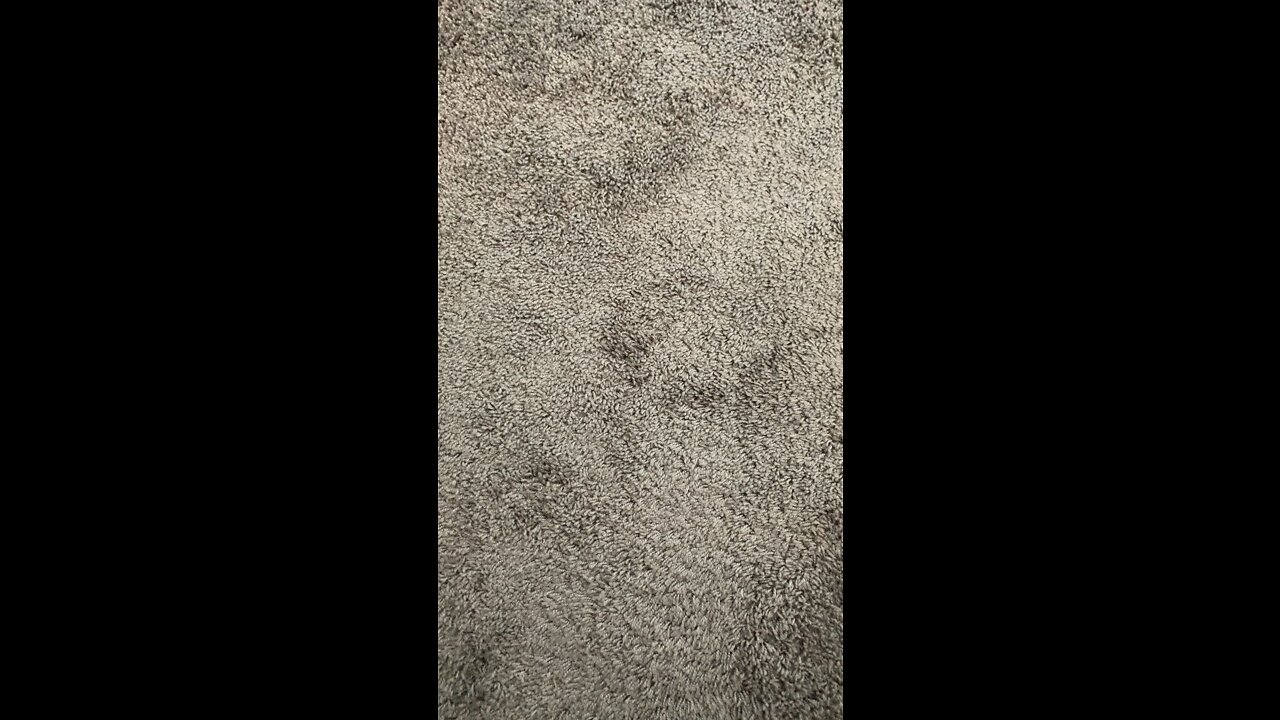 A38