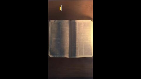 INSIDE YOUR BIBLE: SKIN COLOR (MOSES)