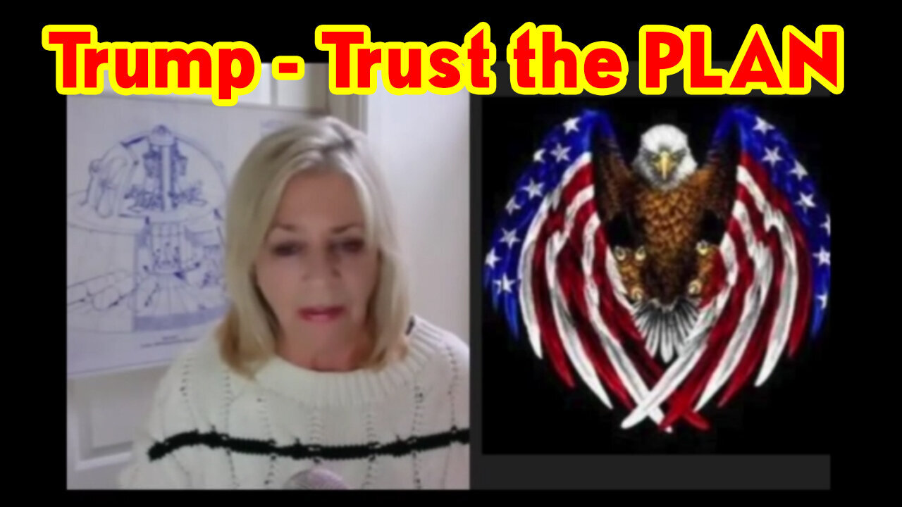 Kerry Cassidy W/ Patriot Underground - Trust The Plan..