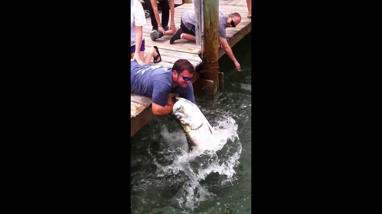 Fish Grabs Man's Arm! (THE Original Video)