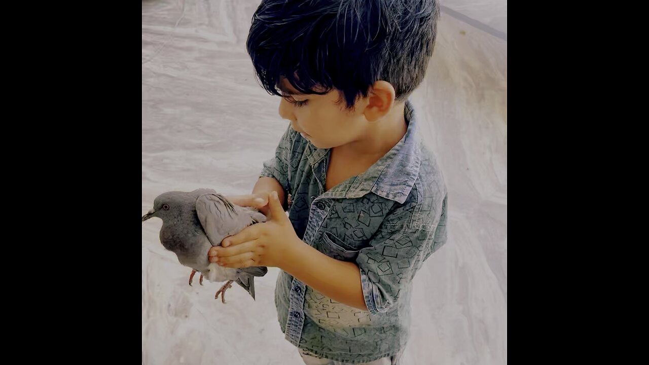 my baby loves pigeons😘