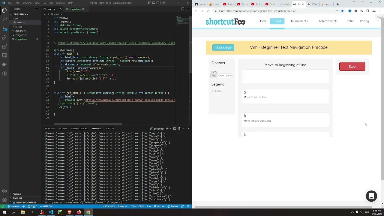 Simple WebScraper in Rust | Learning Rust and Vim part 4