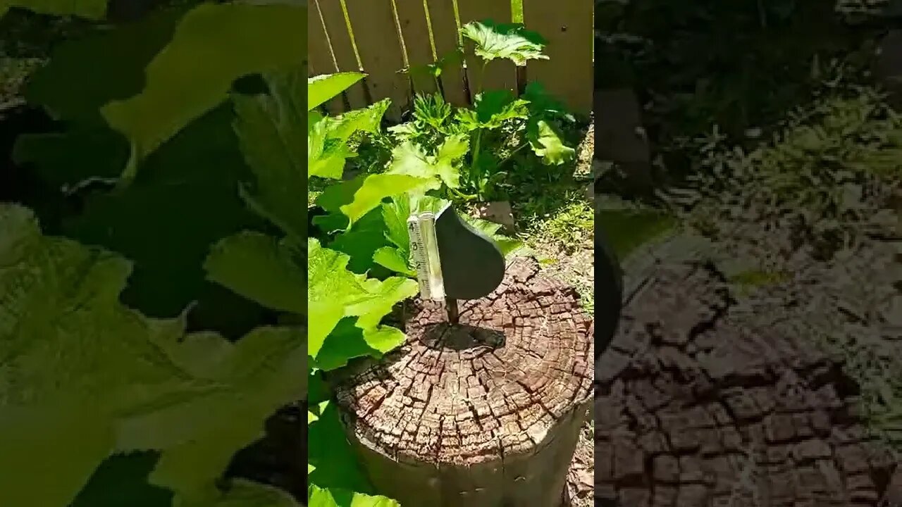 Majick garden